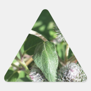 Adesivo Triangular cadarço por cima do caroço