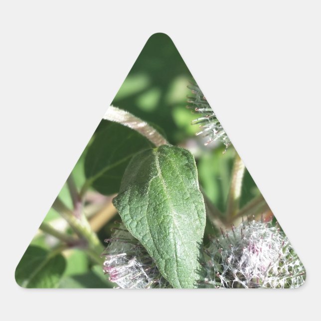 Adesivo Triangular cadarço por cima do caroço (Frente)