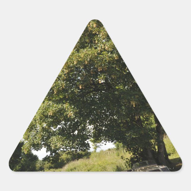 Adesivo Triangular Canal Boats (Frente)