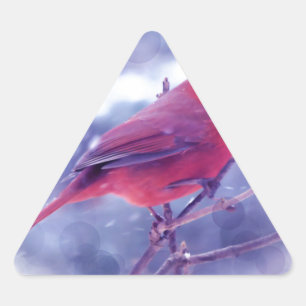 Adesivo Triangular Cardeal Vermelho na Blizzard