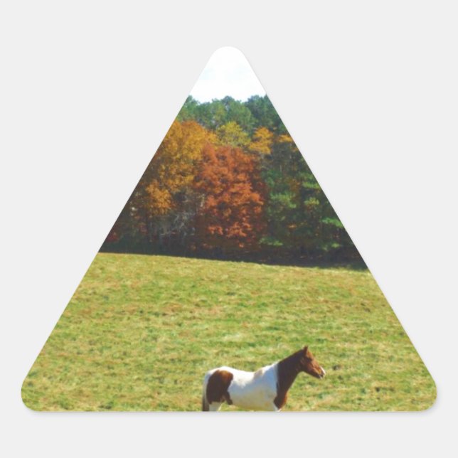 Adesivo Triangular Cavalo castanho e branco,árvores de outono,céu azu (Frente)