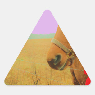 Adesivo Triangular Cavalo de Natal do céu cor-de-rosa