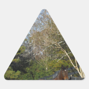 Adesivo Triangular Cavalo Marrom Contra uma Cerca