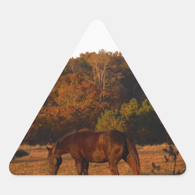Adesivo Triangular Cavalo Vermelho Brown, bosque de outono. (Frente)
