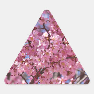 Adesivo Triangular Céu Rosa Flor de Cerejeira Sakura
