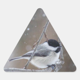 Adesivo Triangular Chickadee Preto-tampado - aves canoras