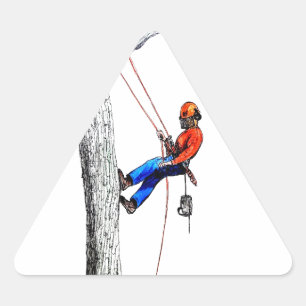 Adesivo Triangular Cirurgião Árvore Arborista