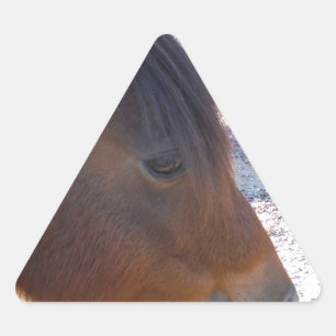 Adesivo Triangular Close de cavalo marrom, pequeno pônei marrom