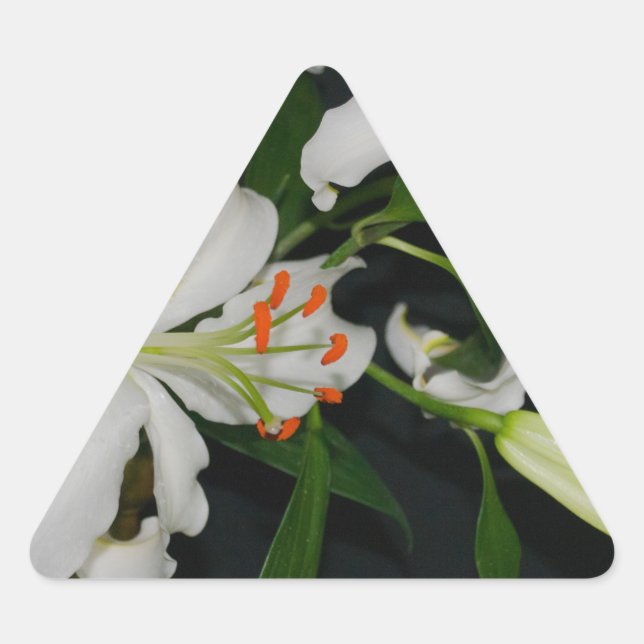 Adesivo Triangular Coleção de Design e Flores irlandesas (Frente)