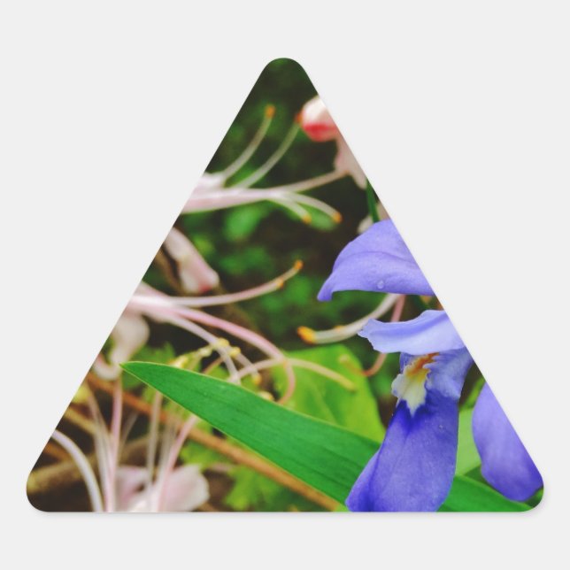 Adesivo Triangular Crested Dwarf Iris (Frente)
