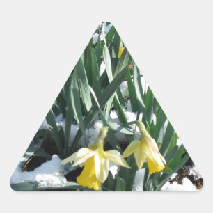 Adesivo Triangular Daffodilos amarelos na neve