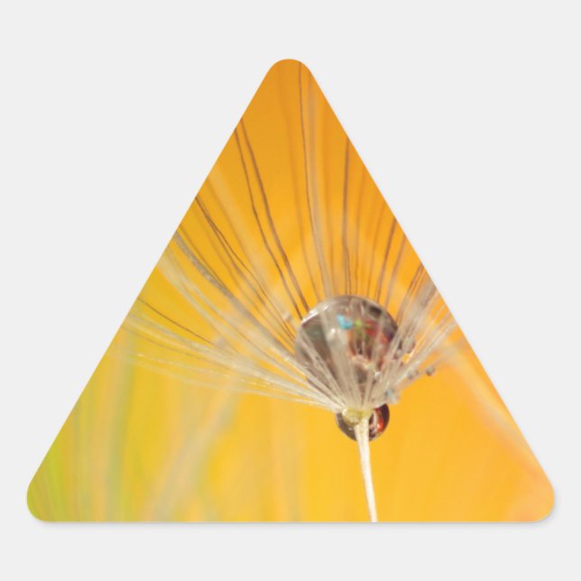 Adesivo Triangular Dandelion Blossoms Flores Destino Paz Amor Arte (Frente)
