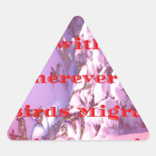 Adesivo Triangular Deixe-me voar com você para namorados.png
