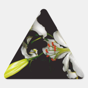 Adesivo Triangular Design irlandês - Coleção de latas e flores