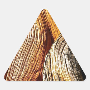 ADESIVO TRIANGULAR DETALHES DO LATIDO DA PINHA BRISTLECONE