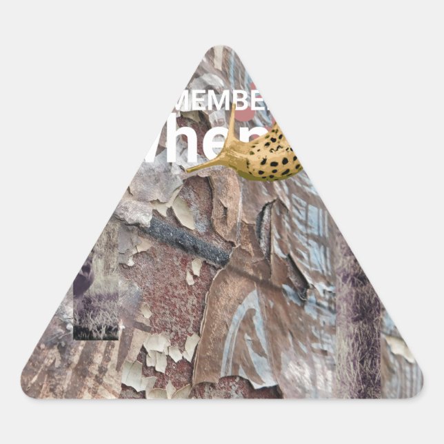 Adesivo Triangular Diário de Lixo de Correção (Frente)