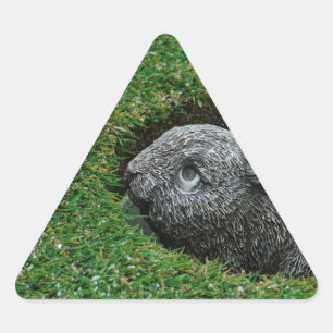 ADESIVO TRIANGULAR DSCF0652.JPG