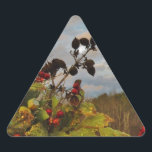 Adesivo Triangular Elegante Holly Christmas,<br><div class="desc">Elegante Holly Christmas,  azul sky Foto de Sandy Closs xmas Christmas holly,  berry,  "holly berry" "elegante natal" "flores de natal" "floral azul verde azul"</div>