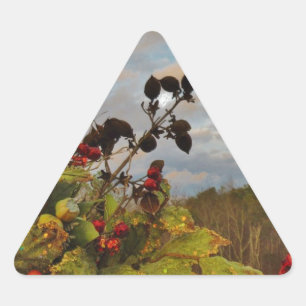 Adesivo Triangular Elegante Holly Christmas,