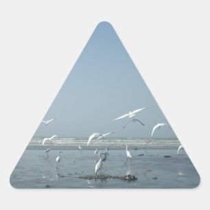 Adesivo Triangular Eu posso voar