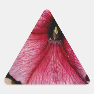 Adesivo Triangular Explosão Floral