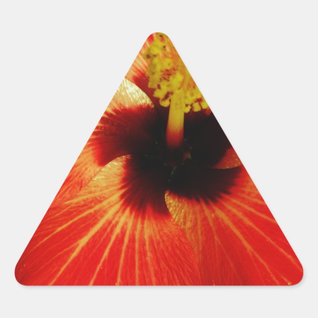 Adesivo Triangular Flor de Hibiscus Vermelho Brilhante (Frente)