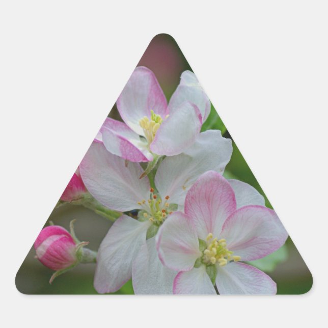 Adesivo Triangular Flor de Maçã (Frente)