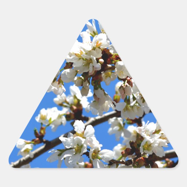 Adesivo Triangular Flor floral branco de primavera (Frente)
