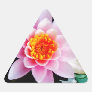 Adesivo Triangular Flor lírio de água, rosa quente e lótus laranja