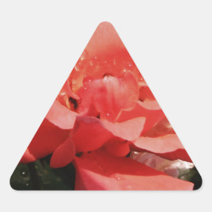 Adesivo Triangular Flor Rosa Rosa Rosa Pêssego bonito