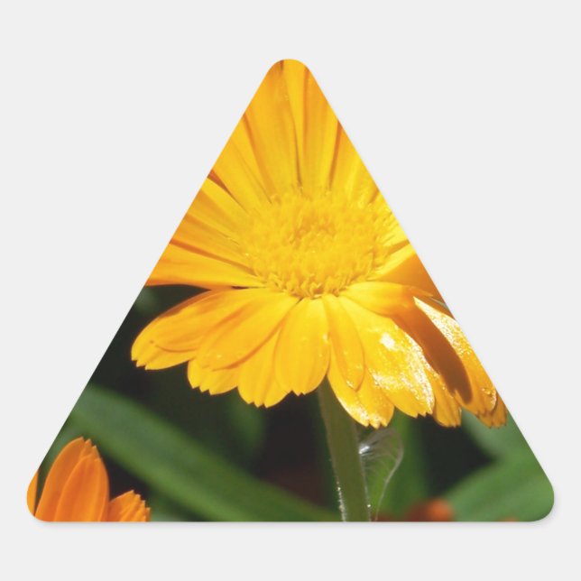 Adesivo Triangular Flores Amarelas Flores Arte Paz Destino do Amor (Frente)