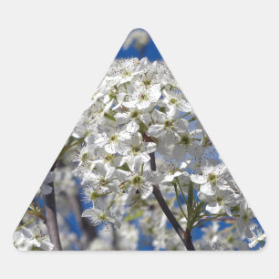 Adesivo Triangular Flores da pera de Bradford