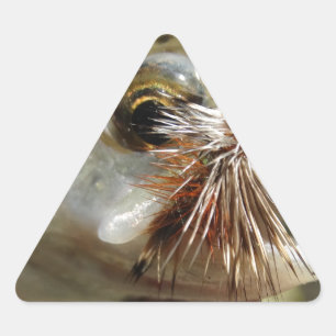 Adesivo Triangular Foto do Rainbow Trout