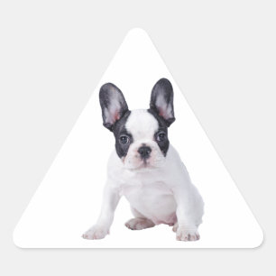 Adesivo Triangular Frenchie - filhote de cachorro do buldogue francê