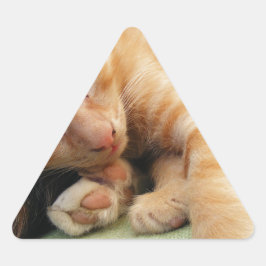 Adesivo Triangular Gatinho De Gelado De Tigre