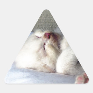 Adesivo Triangular Gatinho Sonolento