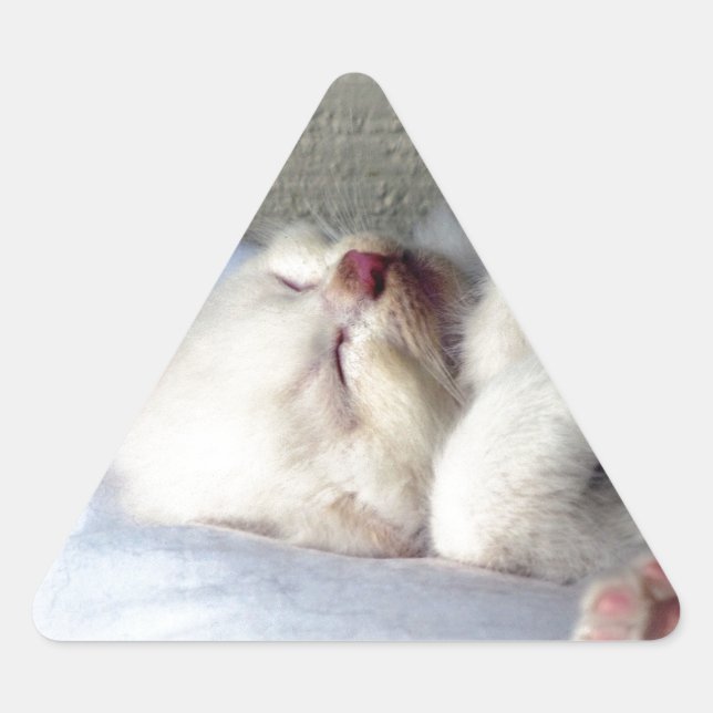 Adesivo Triangular Gatinho Sonolento (Frente)