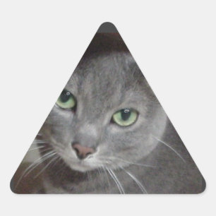 Adesivo Triangular Gato de Cinza azul russo
