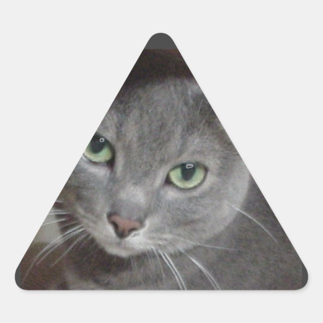 Adesivo Triangular Gato de Cinza Azul Russo (Frente)