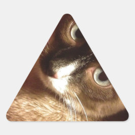 Adesivo Triangular Gato Marrom Bonito