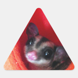 Adesivo Triangular Glider de Açúcar na Cama Laranja