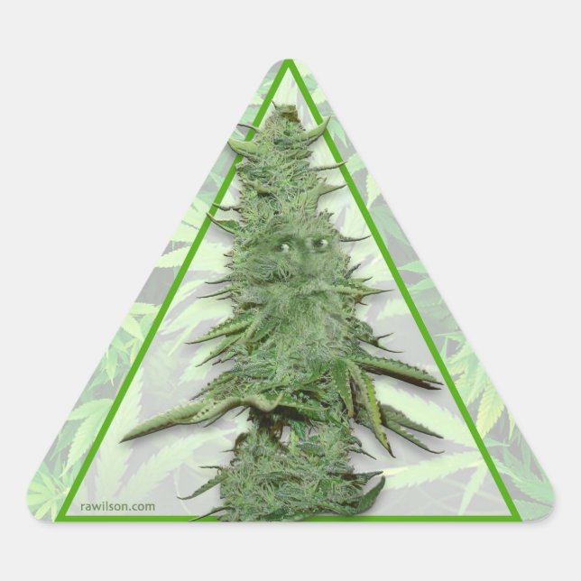 Adesivo Triangular Green Bob Stickers (20) (Frente)