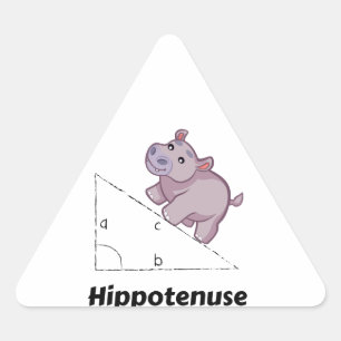 Adesivo Triangular Hippotenuse Engraçado Math
