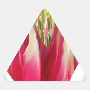 Adesivo Triangular Impressão artística de coração floral