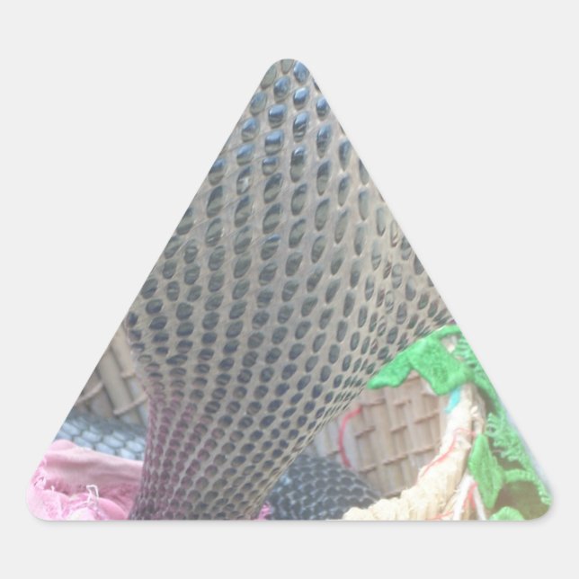 Adesivo Triangular Impressão de Arte Cobra na Cesta (Frente)
