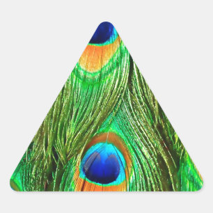 Adesivo Triangular Impressão de Penas de Pavão Coloridas