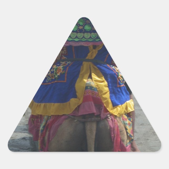 Adesivo Triangular Impressão/Gráfico Whimsical Camel Art (Frente)