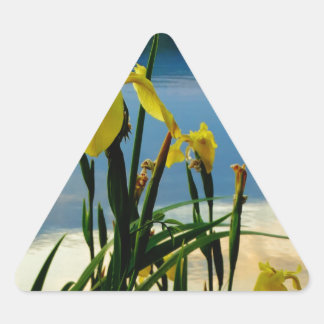 Adesivo Triangular Íris Amarelo no Lago Shore