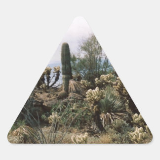 Adesivo Triangular Jardim Cactus