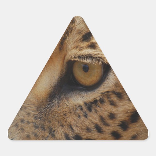 Adesivo Triangular Leopardo Eye (Frente)